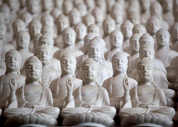 ten-thousand-buddhas-patricia-bolgosano